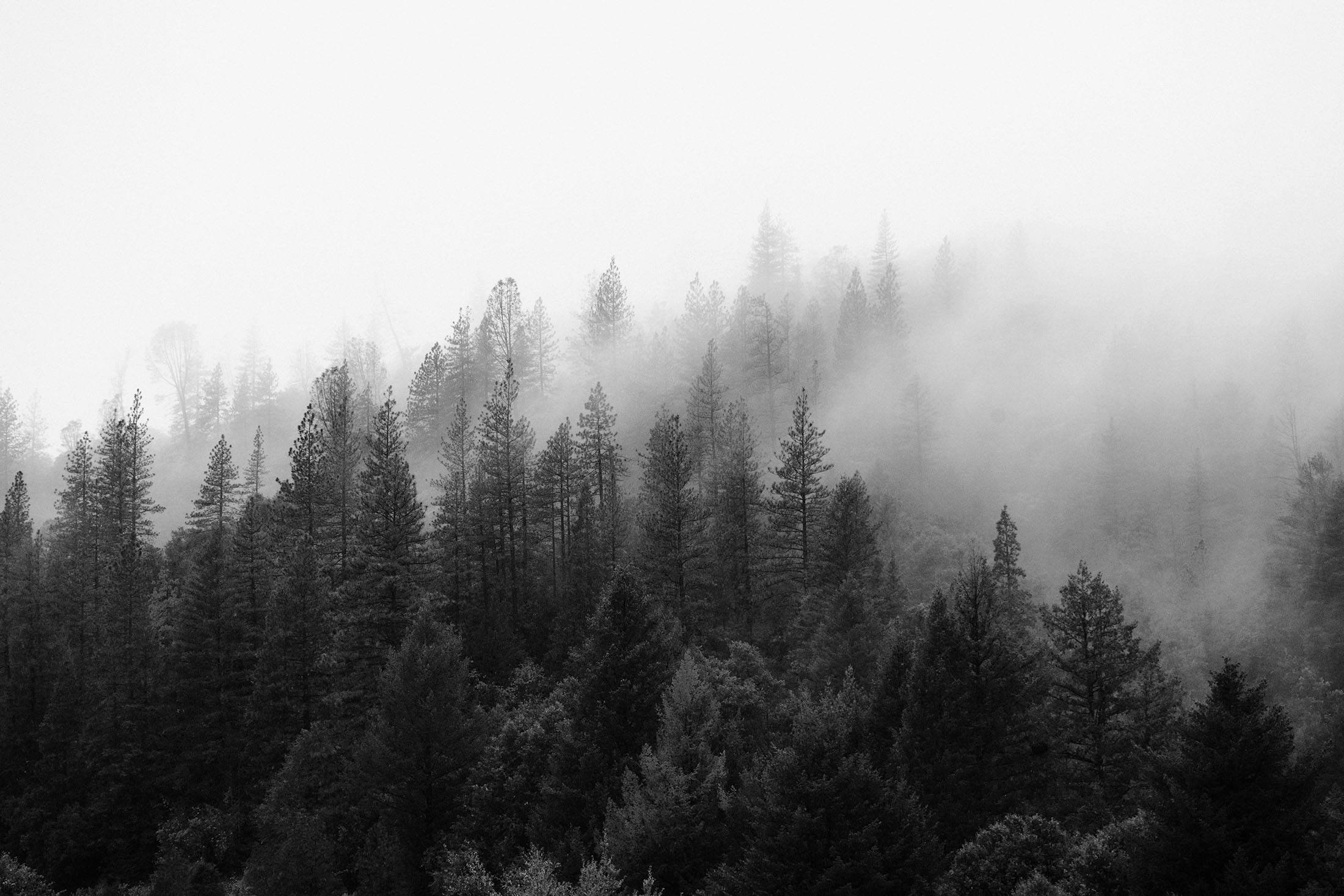 The Story of Life in Photographs